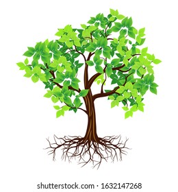 Green rooted tree with white background, vector illustration