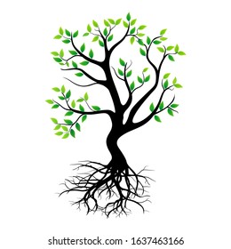 Green rooted tree with white background. Illustration vector