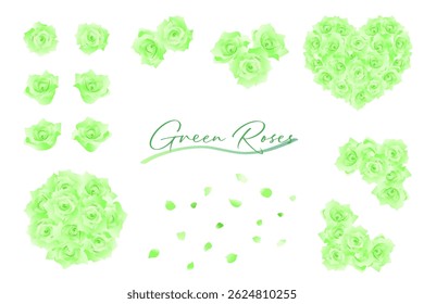 Green rose set with bouquet, petals, frame, and single flowers