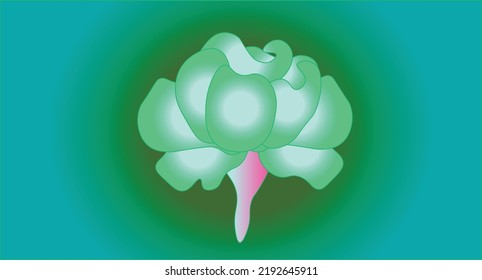 green rose vector on green background