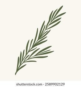 Green rosemary branch, flat vector illustration