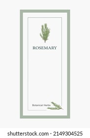 green rosemary invitation frame card vector