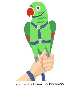 Green rose-ringed parakeet  parrot; ring-necked parakeet; Indian ringneck parrot in harness and leash on human hand - vector illustration