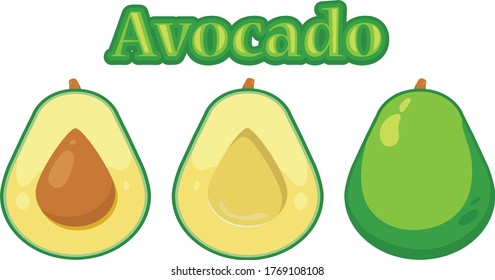 Green Round Avocado fruit and two half with seed vector illustration 