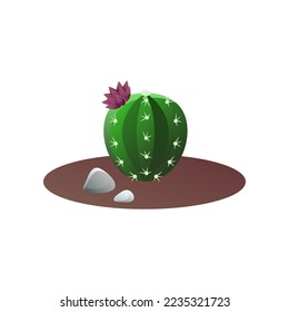 Green round cactus growing in ground of pot. Vector illustration of tropical house plants for interior decor. Cartoon cacti for indoor home garden isolated on white. Terrarium, nature concept