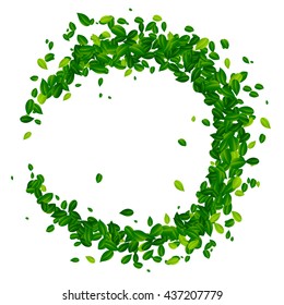 Green round frame