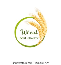 Green round frame of wheat ears, spikes, stems, with inscription. Vector illustration cartoon flat icon isolated on white.