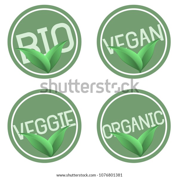 Green Round Organic Bio Natural Food Stock Vector Royalty Free