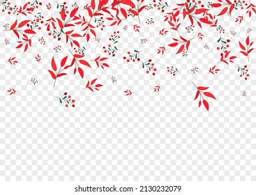 Green Rowan Background Transparent Vector. Berries Agriculture Illustration. Pink Leaf. Burgundy Leaves Border. Wood Design.