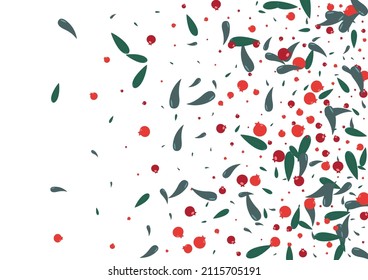 Green Rowan Background White Vector. Leaf Forest Set. Burgundy Berries November. Paper Illustration. Herb Symbol.