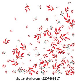 Green Rowan Background White Vector. Berries Nature Template. Burgundy Foliage. Pink Herb Silhouette. Plant Set.