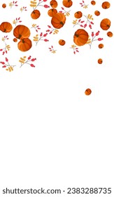 Green Rowan Background White Vector. Gourd Botanical. Colorful September Texture. November Border. Orange Plant Print Frame.
