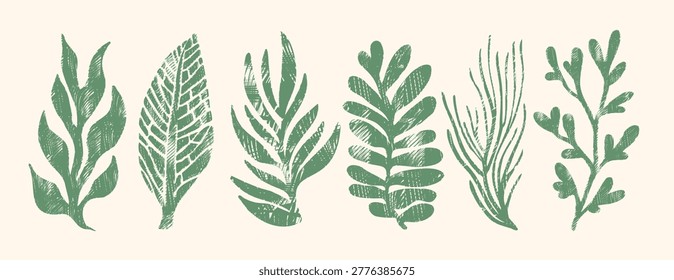Green rustic seaweed and botanical leaf silhouettes in a vintage linocut stamp illustration, perfect for minimal organic design, mediterranean ecology, and cottagecore aesthetic plants