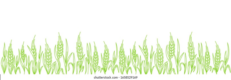 Green rye grass. Cereal field. Ears of wheat agriculture. Contour line vector. Place for text. Copy space. Horizontal banner. Background frame.