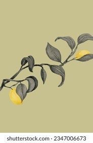 green sage background with lemon tree illustrator
