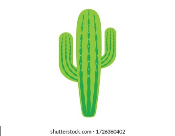 Green saguaro cactus icon vector. Fresh green cactus isolated on a white background. 