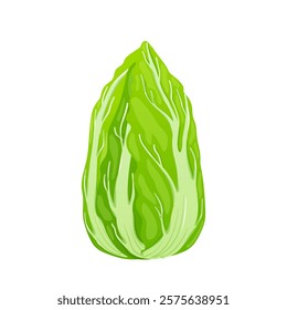 Green salad in flat design. Ripe cabbage with leaves, vegetable harvest. Vector illustration isolated.