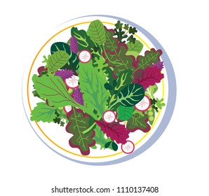 green salad,, flat style , white plate, vector,isolated on white background
