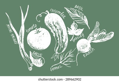 green salad graphic set 