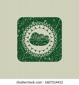 Green salad icon inside distressed grunge seal
