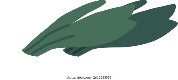 Green salad leaves bunch vector illustration