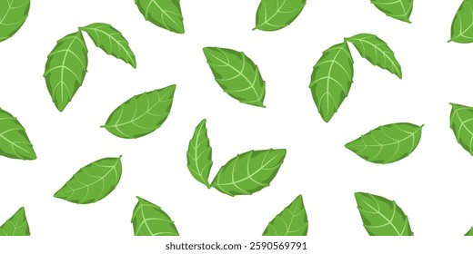 Green salad leaves seamless pattern vector illustration. Different basil leaf repeated ornament. Design for textil, fabric, background and vegetarian packaging. Eco backdrop.