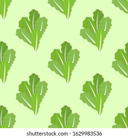 Green salad leaves vector seamless pattern, vegetable lettuce, Health food. Cooking food . Chinese cabbage for wallpaper and other surfaces. Hand drawn vector illustration.