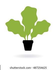 Green salad. Vector illustration. Plant leaves in a pot. 