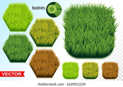Green and savanna grass hexagon texture background. Nature meadow or field. Grassy design and ground landscape. Cartoon style. Isolated on white. Layered vector set.