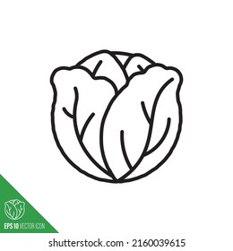 Green or Savoy cabbage vegetable icon, outline style vector illustration