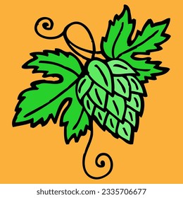 green scented hops vector illustration