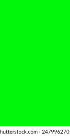 Green screen. Chroma key green background. Viewfinder camera frame, stock footage video, film screen template, overlay. Cinema vertical display. Abstract backdrop.