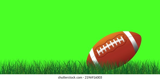 Green Screen Chromakey, American Football On Green Grass Field. Sport Team Game Cup. Rugby Ball Day. Funny Super Bowl Weekend Party. USA, Sport Finale, School GamesMovie, Vidio, Formaat.