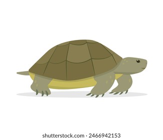 Green sea or ocean Turtle icon. Aquatic and terrestrial reptilian animal. Pet turtle for home. Vector illustration on white background.