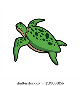 Green sea turtle