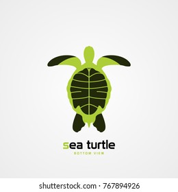 Green sea turtle. Bottom view. Modern symbol. Vector illustration