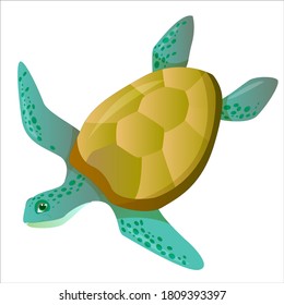 Green sea turtle in cartoon style. Vector illustration isolated on white background