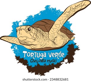 Green sea turtle (Chelonia mydas)