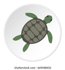 Green sea turtle icon in flat circle isolated on white background vector illustration for web