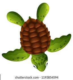 A green sea turtle on white background illustration