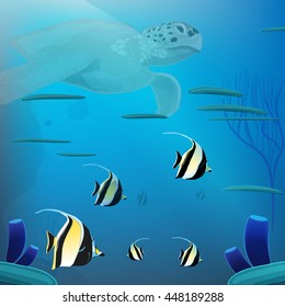Green Sea Turtle swimming  with fishes 