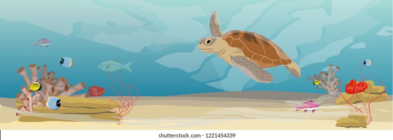 Green sea turtle swimming under water. Tropical underwater landscape. Warm water. Coral reef with coral, sea sponges, sand and stones. Realistic Vector illustration of a sea life