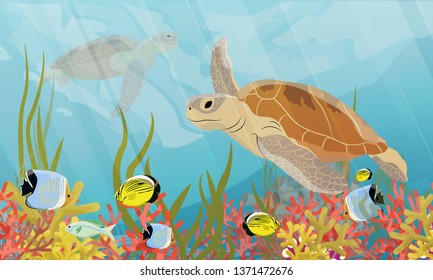 Green sea turtle swimming under water. Coral reef with coral, sea sponges, sand and stones. Realistic vector sea underwater landscape