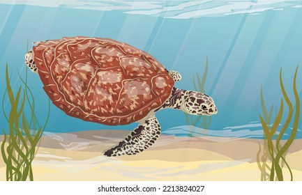 Green sea turtle swims in the sea with algae and sandy bottom. Green turtle, black turtle or Pacific green turtle. Realistic vector underwater landscape.