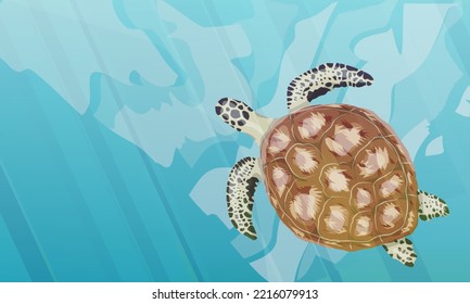 Green sea turtle swims in blue water. Green turtle, black turtle or Pacific green turtle. Realistic vector underwater landscape.