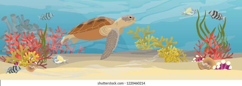 Green sea turtle swims under water. Tropical underwater landscape. The bottom of the coral reef with exotic fish, corals, sea sponges, sand and stones. Vector illustration of a sea life