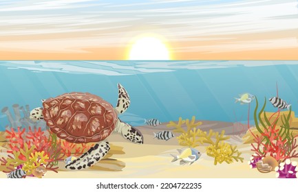 Green sea turtle swims underwater. The bottom of the sea near the shore with corals and tropical fish and the sky above it. Realistic vector seascape