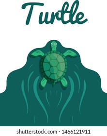 Green sea Turtle vector illustration