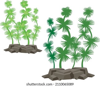 green sea weed set isolated on white background. Hand painting on paper