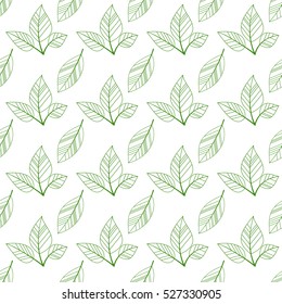 green seamless leaves isolated on white background. vector illustration